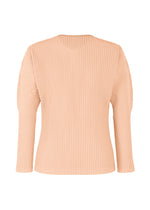 COLOR PLEATS
