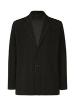 TAILORED PLEATS 3