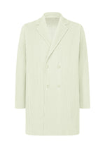 TAILORED PLEATS 3