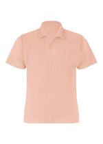 COLOR PLEATS 2
