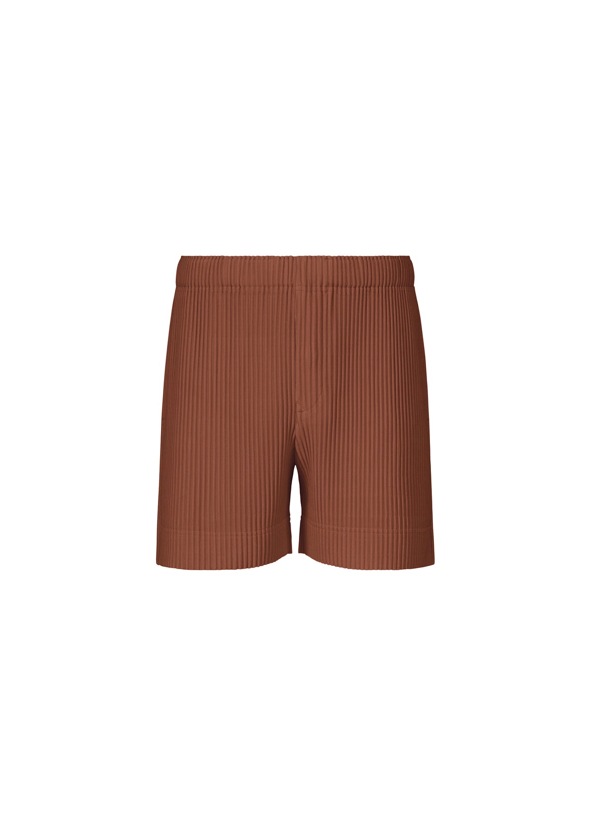COLOR PLEATS 1、メンズ_パンツ、ブラウン