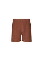 COLOR PLEATS 1