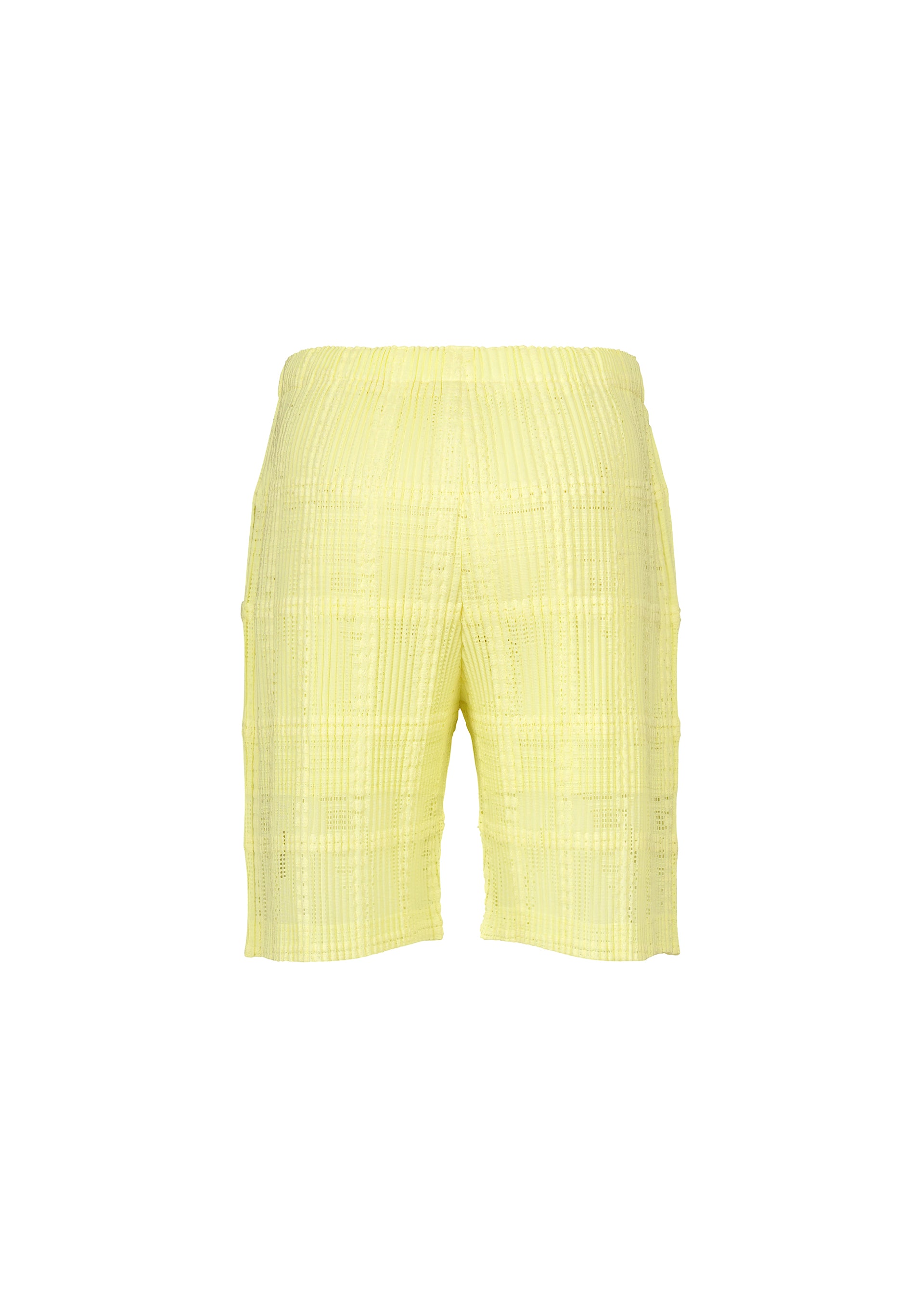 LACE GRID PLEATS、メンズ_パンツ、ディテール画像1