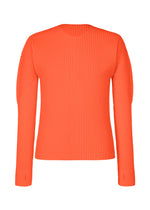 COLOR PLEATS 1