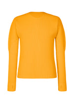 COLOR PLEATS 1、メンズ_トップス_トップ、イエロー