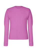 COLOR PLEATS 1
