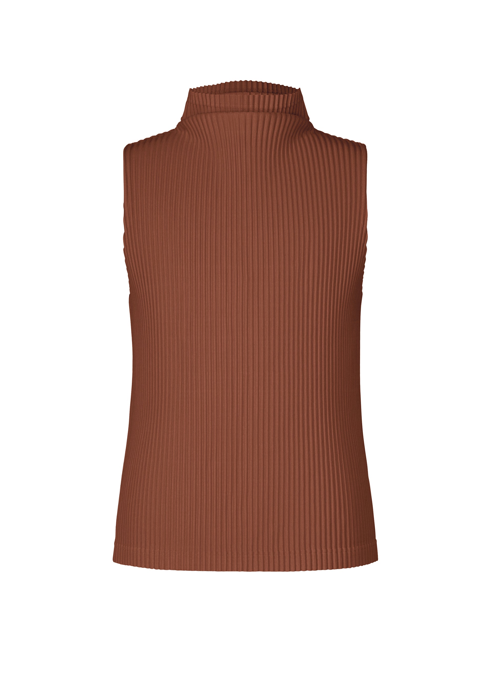 COLOR PLEATS 1、メンズ_トップス_トップ、ブラウン