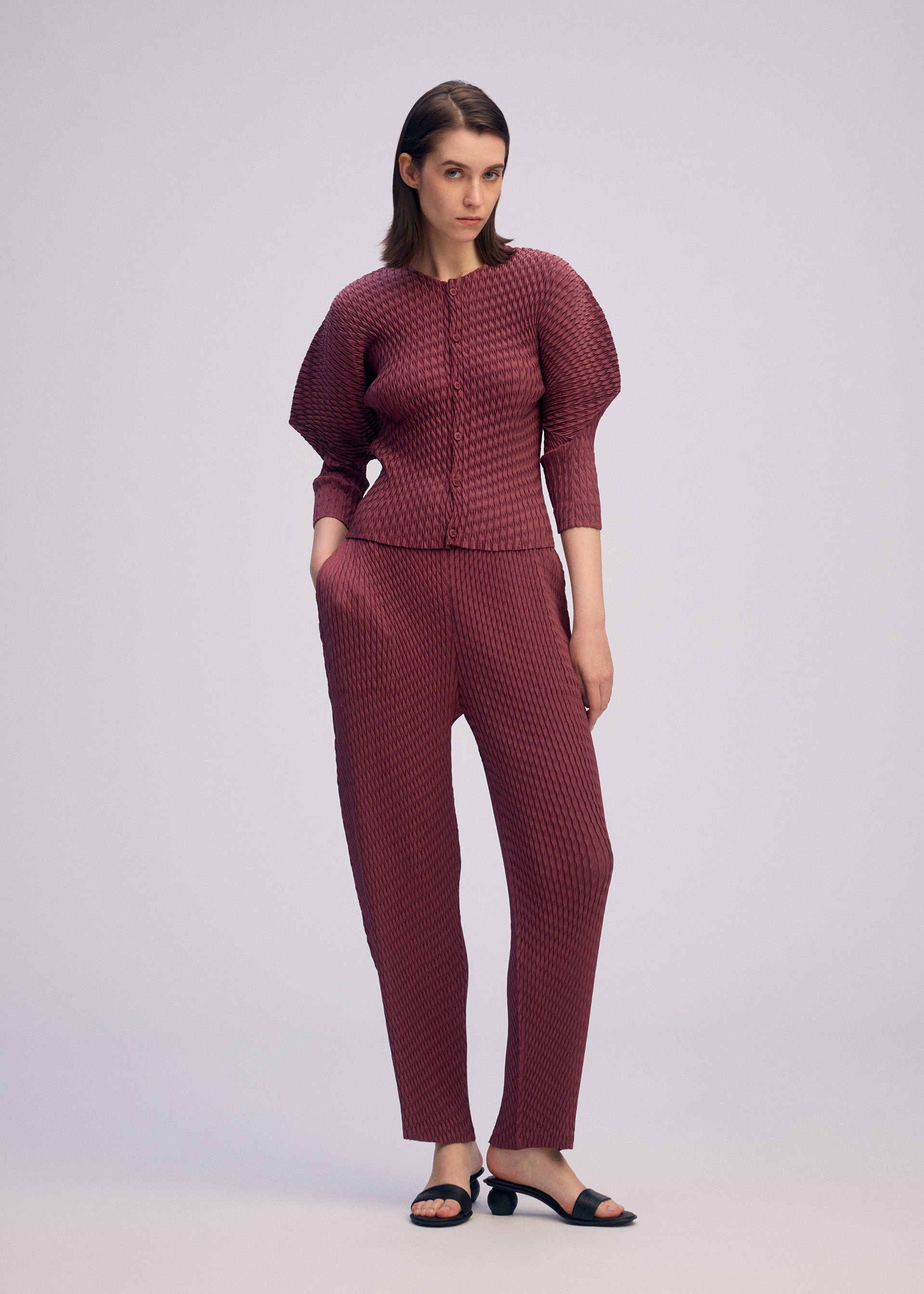 SLEEK PLEATS、ウィメンズ_パンツ、着用画像2