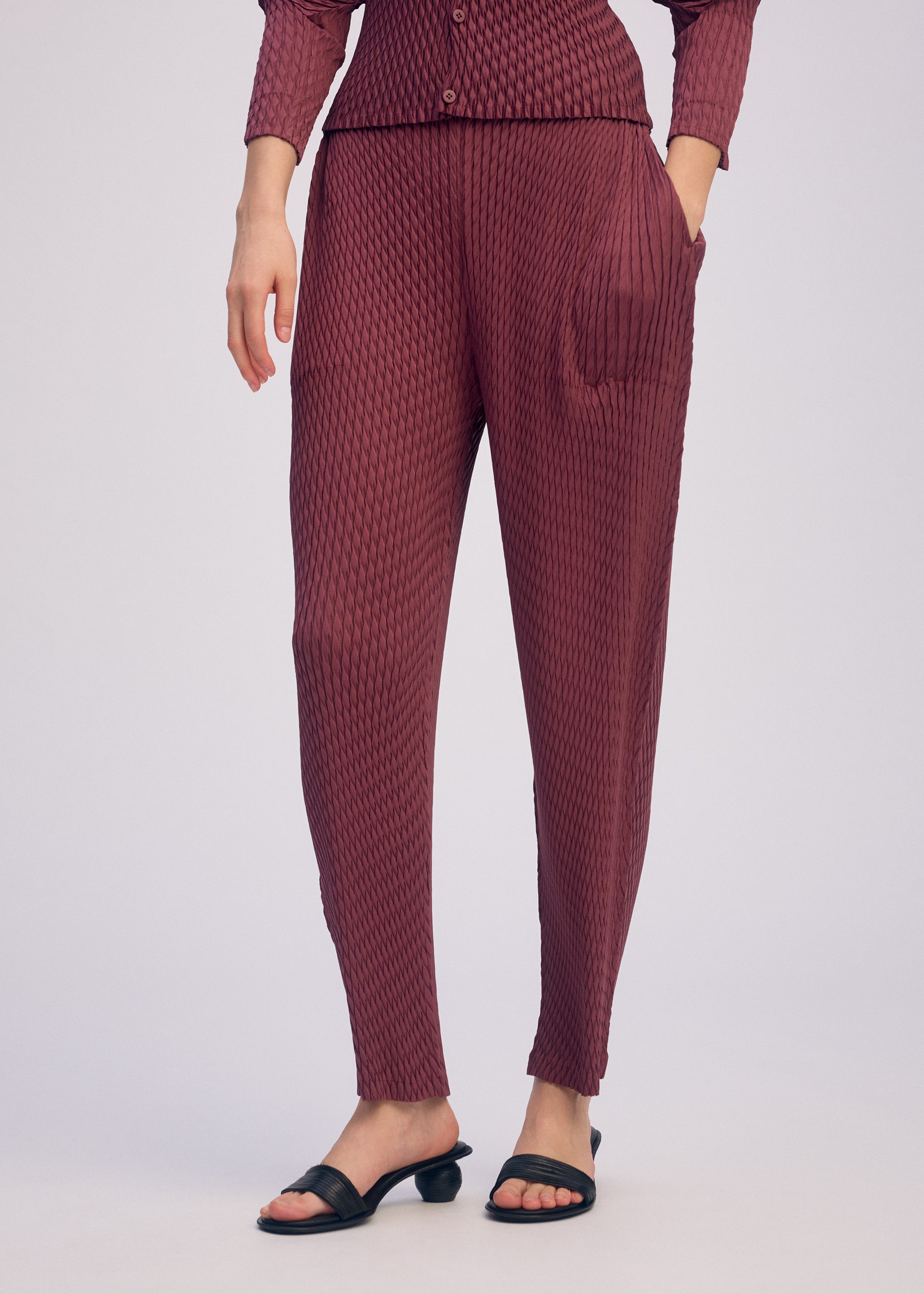 SLEEK PLEATS、ウィメンズ_パンツ、着用画像3