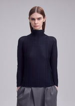 WOOLY PLEATS BK/WT-68、ウィメンズ_トップス_トップ、着用画像2