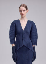 UNFURLING PLEATS、ウィメンズ_トップス_カーディガン、着用画像3