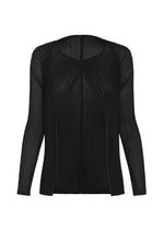 SHEER SLIT PLEATS