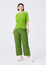 ROUND PLEATS、ウィメンズ_トップス_トップ、着用画像3