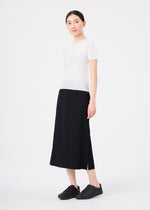 FINE KNIT PLEATS、ウィメンズ_スカート、着用画像3