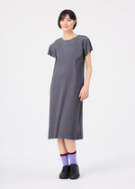 FINE KNIT PLEATS COLOR 2、ウィメンズ_ワンピース、着用画像1