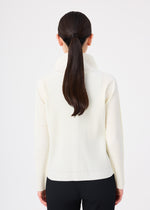 FINE KNIT PLEATS、ウィメンズ_トップス_トップ、着用画像2