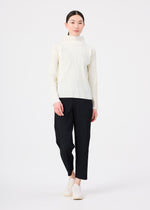 FINE KNIT PLEATS、ウィメンズ_トップス_トップ、着用画像3